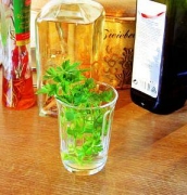 血圧も下がる酢のパワー